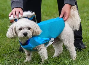 Canine Equipment Ultimate Cooling Coat SALE