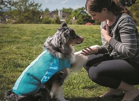 Canine Equipment Ultimate Cooling Coat SALE
