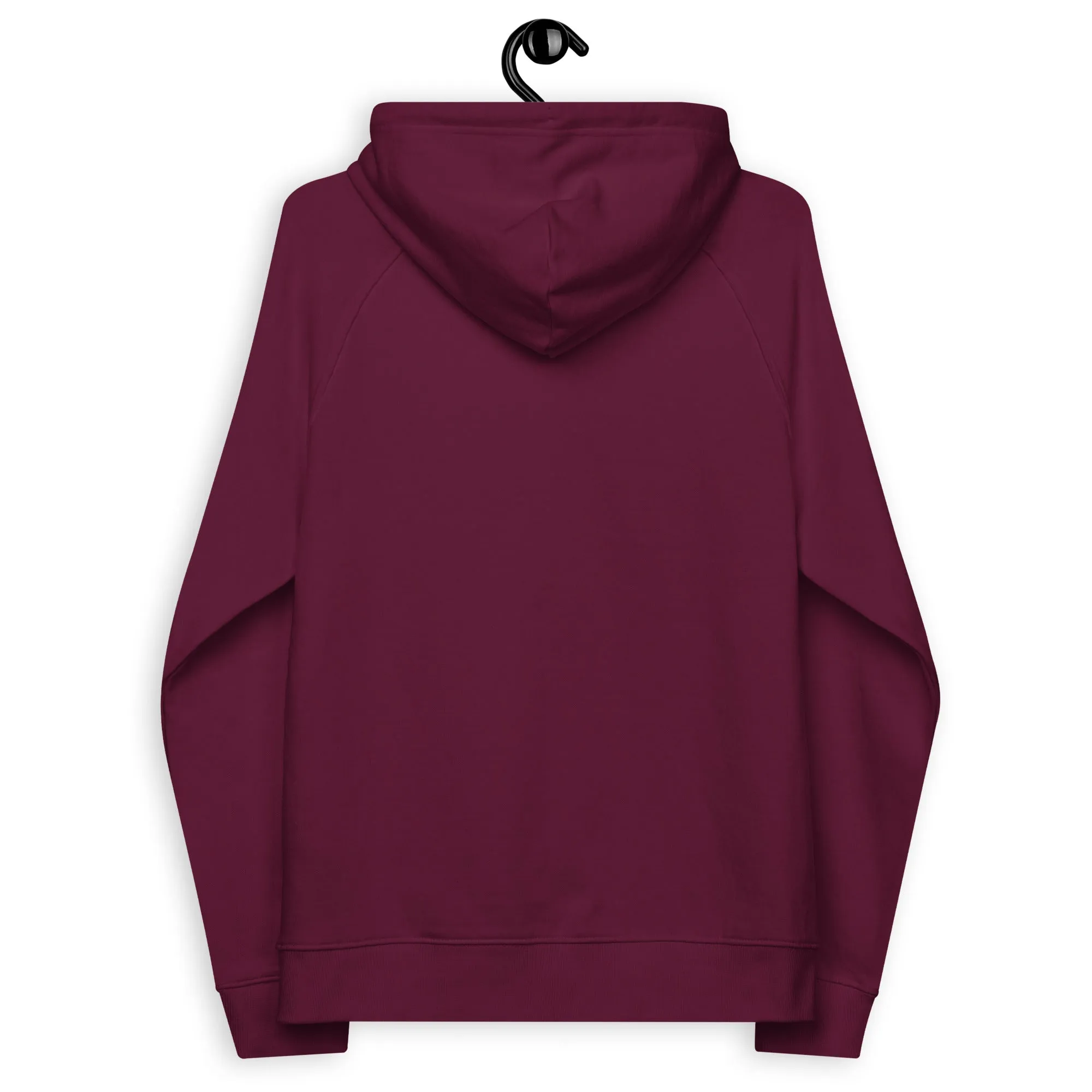 Little STEM Academy Unisex Eco Raglan Hoodie