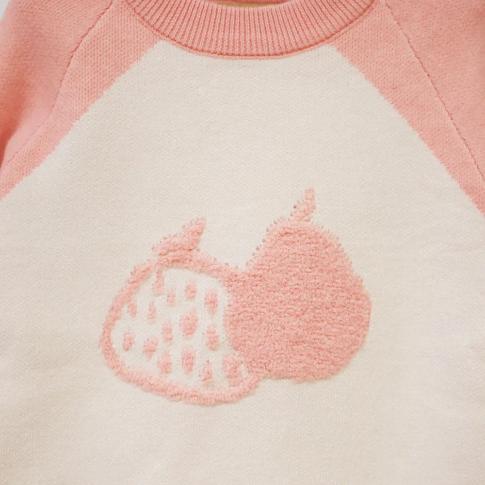 Pink Full Sleeves Sweater With Bottom